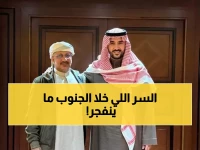 حصري: السر وراء احتواء السعودية للأزمة اليمنية... كيف منعت انفجار الجنوب؟