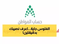 عاجل: خطوات الاستعلام عن حساب المواطن برقم الهوية في دقيقتين - رابط مباشر portal.ca.gov.sa