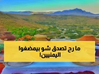 حصري: النبتة السحرية التي يدمن عليها 90% من اليمنيين يومياً... سر المجالس الشعبية المثيرة!