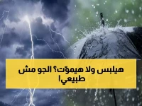 عاجل: خبيرة الأرصاد تحذر من "قطار البرد القطبي" - درجات الحرارة تنهار لـ5 درجات والرياح تصل 60 كم/س!