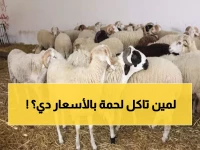 عاجل: أسعار اللحوم تنفجر في عدن... الكيلو بـ 150 ألف والثور بـ مليون و750 ألف ريال!