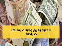 البنك الأهلي يحقق رقماً تاريخياً جديداً.. الدولار يسجل 47.33 جنيه لأول مرة رسمياً