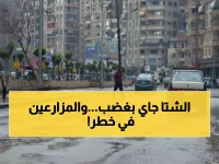عاجل : انقلاب مفاجئ للطقس في مصر في غضون ساعات.. شبورة كثيفة وصقيع يهددان الطرق والمزارع!