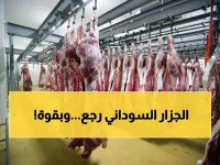عاجل: السودان يستعد لغزو 4 أسواق عربية باللحوم... عودة اقتصادية قوية بعد سنوات من التوقف!
