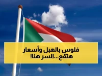 عاجل: السودان يطلق عملية "اللحوم الذهبية" لغزو 4 أسواق عربية عملاقة... هل ستنهار الأسعار؟