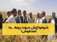 أول مرة في التاريخ.. ريمة تحقق المستحيل وتنتج 100% من احتياجاتها الغذائية محلياً