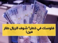 عاجل: أسعار الريال السعودي تشهد حركة مفاجئة في 27 بنك مصري اليوم - تباين يصل لـ 0.5 جنيه!