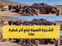 عاجل: خبراء يحذرون من كارثة مائية تهدد ملايين اليمنيين... القات يستنزف آخر قطرة!
