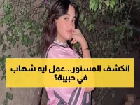 عاجل: فضيحة حبيبة رضا تشعل تيك توك... فيديو صادم مع شهاب الدين يحطم الأرقام!