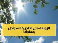 عاجل: خبيرة الأرصاد تكشف التوقيت المحدد لانتهاء العاصفة الترابية... والمفاجأة في السواحل!