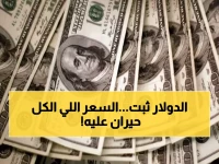 عاجل: الدولار يحافظ على استقراره تحت 48 جنيهاً... البنوك المصرية تكشف الأسعار الرسمية اليوم!