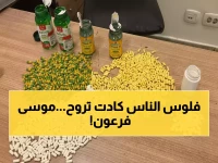 خطر بـ ربع مليار جنيه كان سيدمر آلاف الشباب... والدكتور ماجد موسى ينقذ الموقف