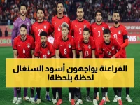عاجل: مصر تواجه السنغال الآن في قمة نصف النهائي التاريخية - شاهد مجاناً بهذه الترددات!