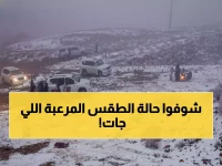 عاجل: موجة قطبية مدمرة تضرب طريف... -3 درجات تحت الصفر وضباب أعمى!