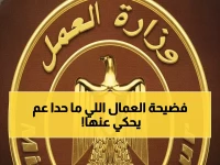 عاجل: 382 مخالفة صادمة في أسبوع واحد... هل تنتهك الشركات حقوق 32 ألف عامل؟