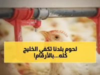 عاجل: "سعودي قاب" يحقق طفرة تاريخية - إنتاج الدواجن يقفز لـ 1.2 مليون طن بنسبة نجاح 90%!