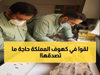 عاجل: اكتشاف صادم في كهوف السعودية... فهود محنطة عمرها 4800 سنة تكشف سراً مدفوناً!