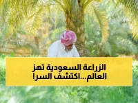 إنجاز تاريخي.. مزارعون سعوديون ينجحون في زراعة محصول ثمين سيدفع الاقتصاد السعودي إلى العالمية! (صورة)