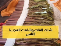 عاجل: موجة برد تدمر مزارع القات... أسعار خيالية تضرب عدن والمواطنون في صدمة!