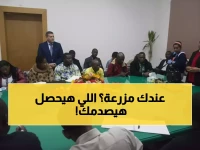 عاجل: مصر تحقق طفرة علمية مذهلة... 179 بحثاً يكشف أسرار إنقاذ المحاصيل من الأمراض المدمرة!