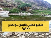 عاجل: موجة برد قطبية تضرب اليمن... الأرصاد تحذر: خطر شديد على الأطفال وكبار السن!