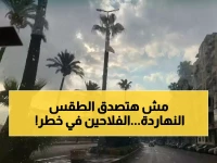 تحذير عاجل: الأرصاد تكشف طقس صادم اليوم... شبورة كثيفة وصقيع يهدد المزروعات!