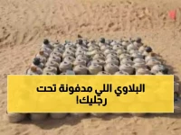 عاجل: مسام ينزع 837 قنبلة قاتلة في أسبوع واحد... 533 ألف لغم أُزيل من اليمن منذ 2018!