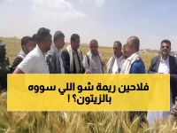 المستحيل أصبح حقيقة.. ريمة تحقق 100% اكتفاء ذاتي من الزيتون في موسم واحد