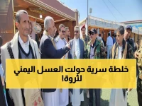 عاجل: 250 أسرة يمنية تحول العسل لذهب اقتصادي... مسؤول كبير يكشف السر الصيني!