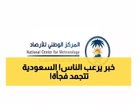 عاجل: الأرصاد تحذر من برد قطبي -3 تحت الصفر وانعدام كامل للرؤية… 9 ساعات خطيرة تنتظر السعوديين!