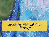 عاجل: موجة برد قطبية تضرب الأردن الليلة… درجات حرارة تحت الصفر وصقيع يهدد المحاصيل!