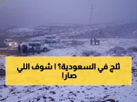 عاجل: موجة صقيع تاريخية تضرب السعودية… درجات حرارة تحت الصفر وتحذيرات من انعدام الرؤية!