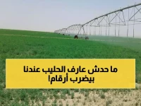 عاجل: 95% من الحليب السعودي يحمل شهادة "قاب" الذهبية - 2.7 مليار لتر تحقق إنجازاً عالمياً!