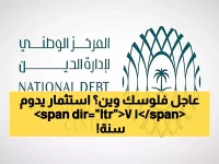 عاجل: السعودية تُقفل طرح صكوك بـ 2.27 مليار ريال خلال ساعات - خمس شرائح استثمارية حتى 2041!