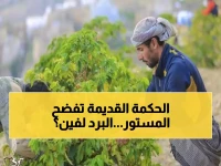 عاجل: الحكمة اليمنية القديمة تكشف سر طقس فبراير... هل سيستمر البرد أم ينتهي؟