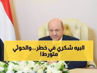 عاجل: العليمي يكشف مؤامرة الحوثيين لاغتيال شكري - أوامر صارمة لتصفية الخلايا النائمة!