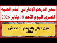 عاجل: فروقات صادمة في سعر الدرهم الإماراتي بين البنوك اليوم - إليك أفضل مكان للصرف!