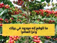 فخر الصناعة السعودية الذي لا تعرفه.. منتج موجود في كل بيت يكتسح أسواق أوروبا ويصبح حديث العالم!