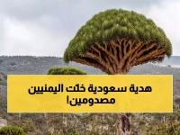 اليمنيون يصابون بالدهشة بعد وصول هدية سعودية ضخمة إلى سقطرى.. تعرف عليها!