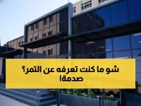 حصري: أسرار التمور التي تحارب الأمراض... خبراء الأحساء يكشفون الحقائق المذهلة!