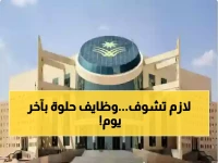 عاجل: جامعة نجران تعلن عن 41 وظيفة أكاديمية للجنسين… آخر فرصة للتقديم تنتهي الخميس!