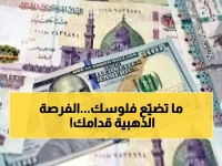 استقرار سعر الصرف يفتح الباب أمامك: 3 فرص حقيقية لزيادة مدخراتك واستثماراتك