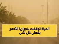 عاجل: إنذار أحمر مرعب في نجران... العواصف الترابية تمحو الرؤية تماماً - سكان في خطر!