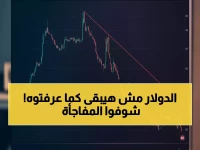 عاجل: الدولار ينهار أمام الجنيه المصري… هل نشهد انهيار تاريخي لـ 46.40 خلال شهور؟