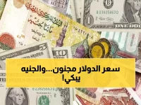 صادم: الدينار الكويتي يحطم حاجز الـ 154 جنيه والدولار يتجاوز الـ 47 - هل تنهار العملة المصرية؟