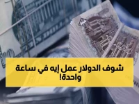 عاجل: الدولار يهوي تحت 47 جنيه.. تعرف على آخر سعر داخل البنوك وأهم المؤشرات الاقتصادية
