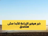 عاجل: السعودية تحظر زراعة الأعلاف المعمرة نهائياً بعد 16 نوفمبر... توفير 23 ألف متر مكعب مياه للهكتار!