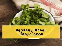 تعرف على الرجلة: النبات البري المنسي الذي يحارب الالتهابات ويدعم صحة القلب - فوائد مذهلة في مطبخك!