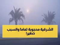 عاجل: إنذار أحمر يضرب الشرقية... ضباب كثيف يمحو الرؤية تماماً حتى 12 ظهراً!