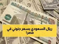 عاجل: أسعار الريال السعودي تسجل 12.59 جنيه في مصر - البنوك تتنافس والفوارق صادمة!